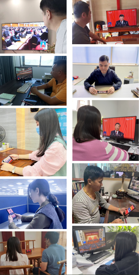 惠州市跨境电子商务行业协会党支部组织学习党的二十大(图5) image.png